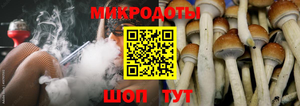 Ухта  Галлюциногенные грибы мухоморы  Вход с VPN 