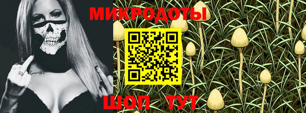 Галлюциногенные грибы мухоморы Ухта